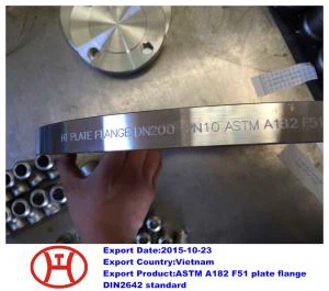 ASTM A182 F51 Plattenflansch