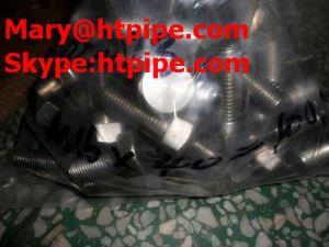 Legierung  800  Unterlegscheibe