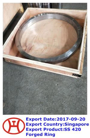 SS420 geschmiedeter Ring