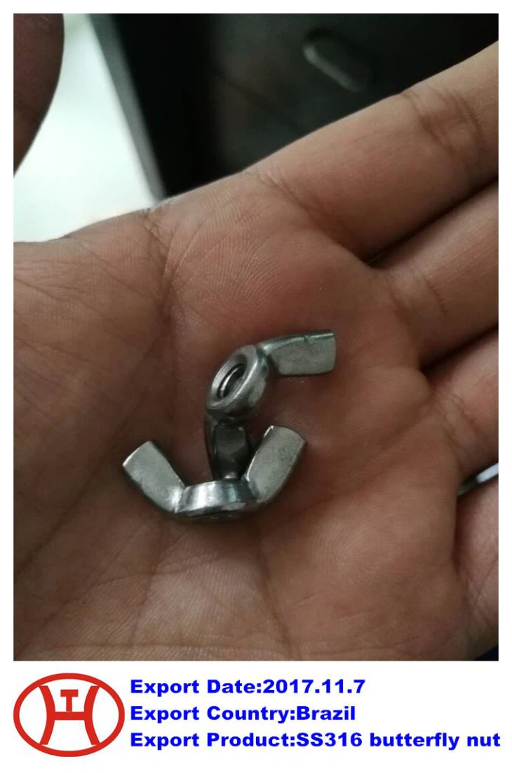 SS 316  Schmetterlingsmutter