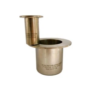 ASTM A403 WP304L Stummelende