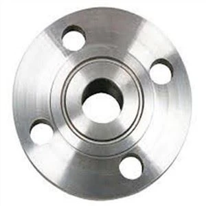 Sus 304L Platte Flachflansch